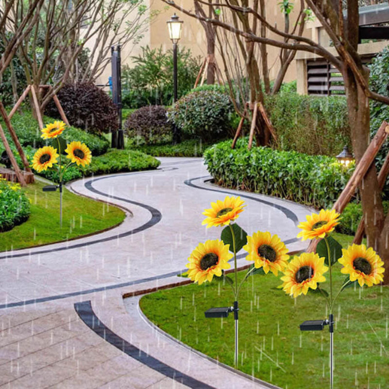 Illumina il tuo giardino con girasoli solari