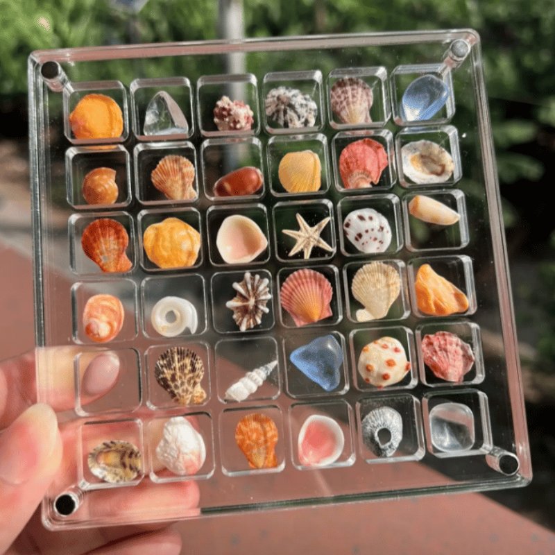 Exposez vos coquillages avec style et sécurité