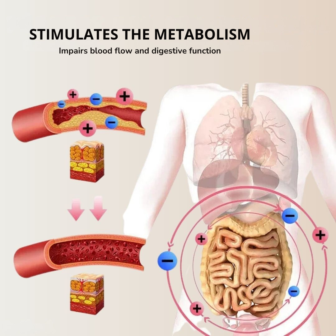 Sneldrogende thermische slankende taille voor een platte buik