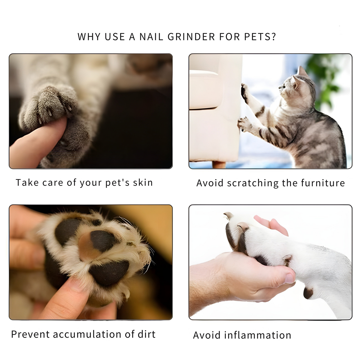 Stressfreies Nagelfeilen für Ihr Tier