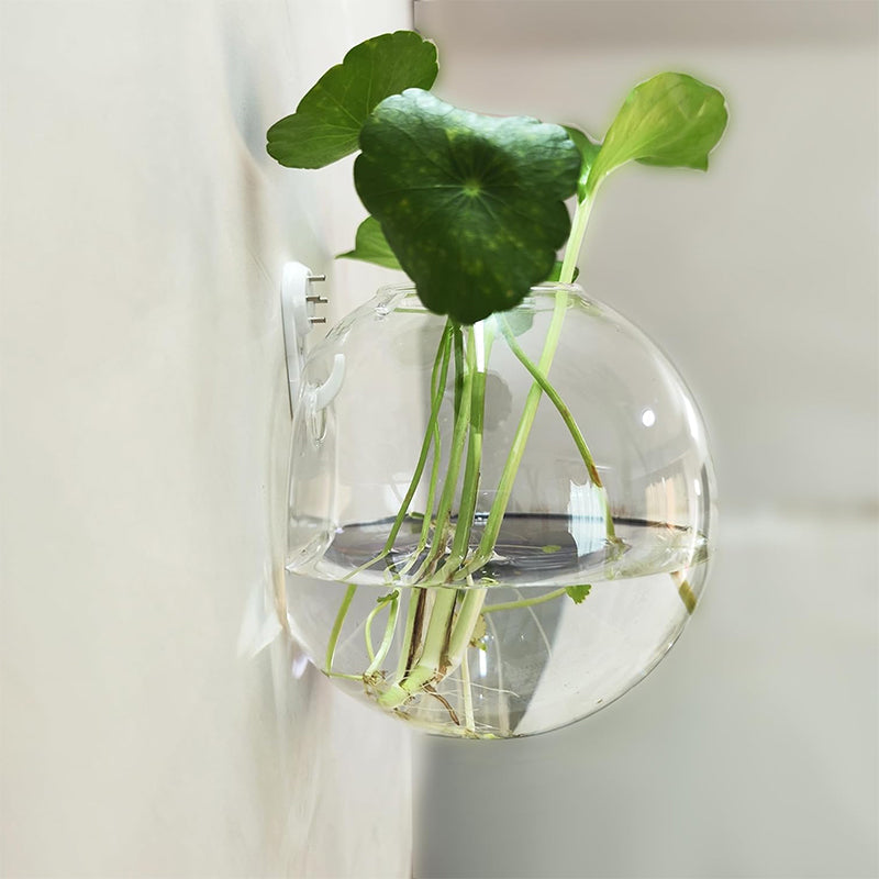 壁に穴を開けずに、植物を引き立てましょう