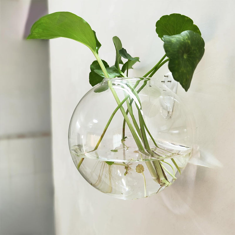 壁に穴を開けずに、植物を引き立てましょう