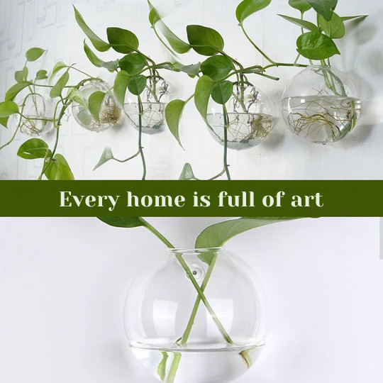 壁に穴を開けずに、植物を引き立てましょう
