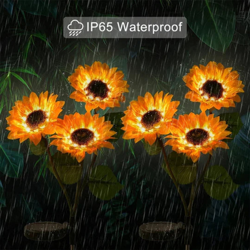 Illumina il tuo giardino con girasoli solari
