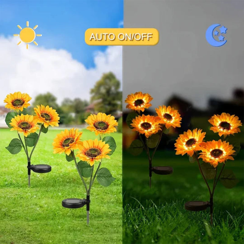 Illumina il tuo giardino con girasoli solari