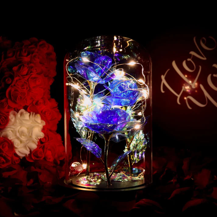 Rose sous Cloche – Élégance Lumineuse et Intemporelle