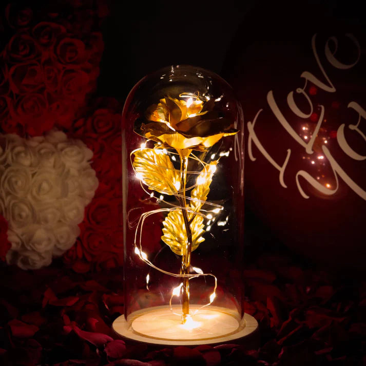 Rose sous Cloche – Élégance Lumineuse et Intemporelle
