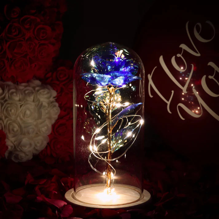 Rose sous Cloche – Élégance Lumineuse et Intemporelle