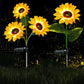 Illumina il tuo giardino con girasoli solari 