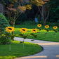 Illumina il tuo giardino con girasoli solari 