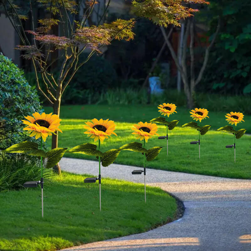Illumina il tuo giardino con girasoli solari 