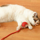 アクティブで好奇心旺盛な猫のためのバウンスおもちゃ 
