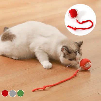 アクティブで好奇心旺盛な猫のためのバウンスおもちゃ 