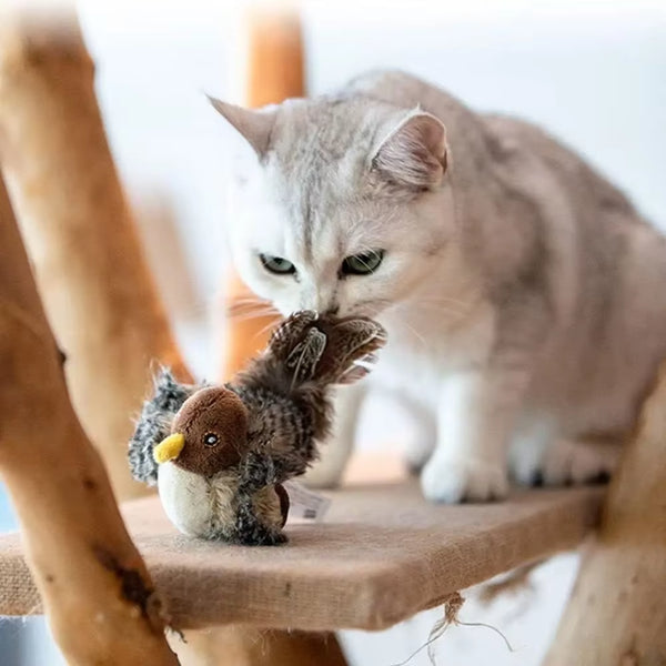 Stimulez l'instinct naturel de votre chat