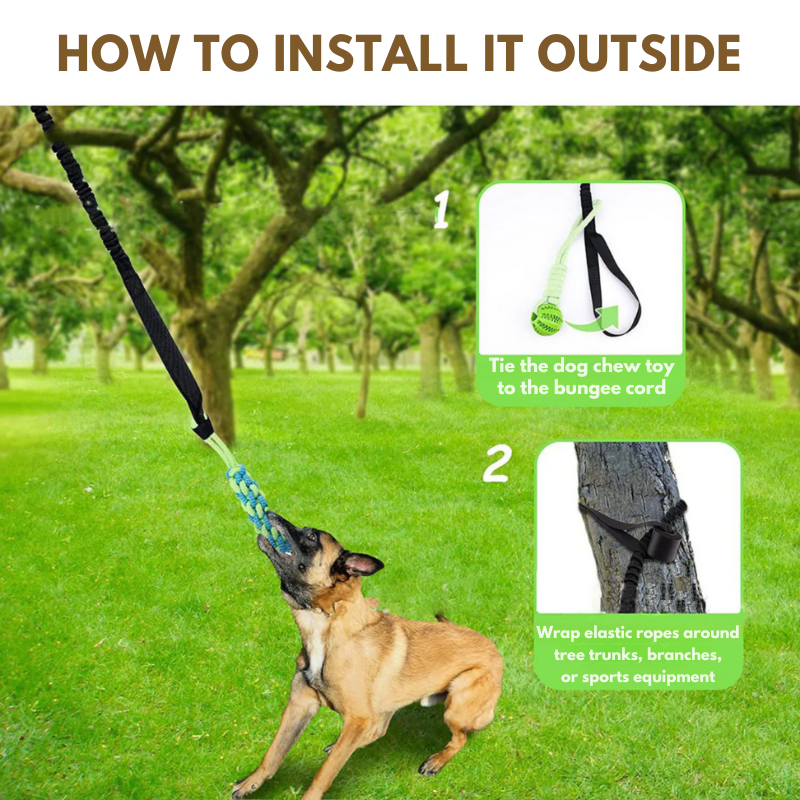 Interactive dog toy: guaranteed fun! 