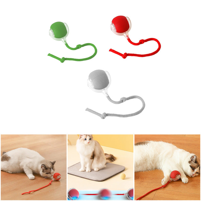 アクティブで好奇心旺盛な猫のためのバウンスおもちゃ 