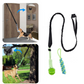 Interactive dog toy: guaranteed fun! 