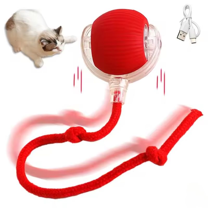 アクティブで好奇心旺盛な猫のためのバウンスおもちゃ 