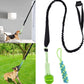 Interactive dog toy: guaranteed fun! 