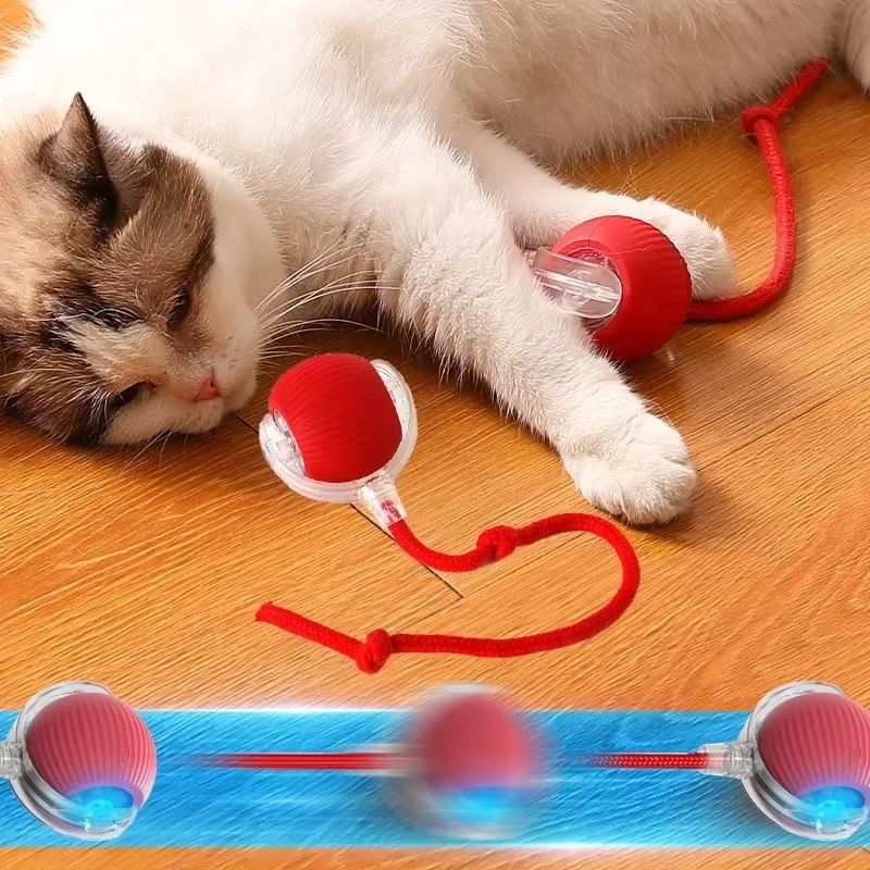 アクティブで好奇心旺盛な猫のためのバウンスおもちゃ 