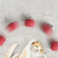 アクティブで好奇心旺盛な猫のためのバウンスおもちゃ 