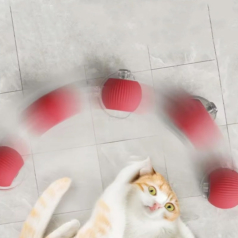 アクティブで好奇心旺盛な猫のためのバウンスおもちゃ 
