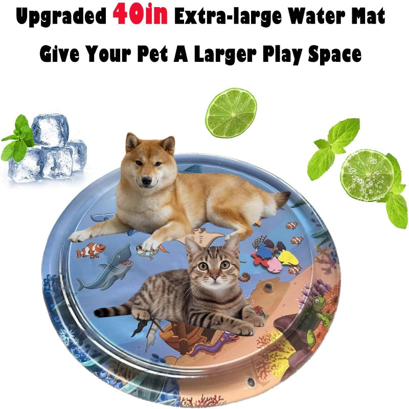 Diversión garantizada para gatos y perros 