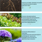Concime concentrato per ridare vita alle tue piante in modo naturale 