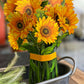 Faites fleurir vos mots avec une carte à planter