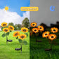 Illumina il tuo giardino con girasoli solari 