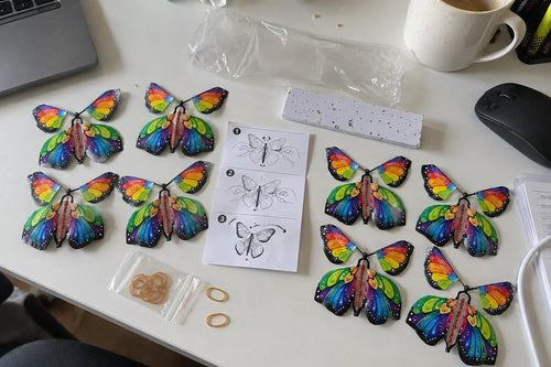 Papillons Volants à Remontage 1+1 Offert — photo d'un client 6