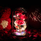 Rose sous Cloche – Élégance Lumineuse et Intemporelle